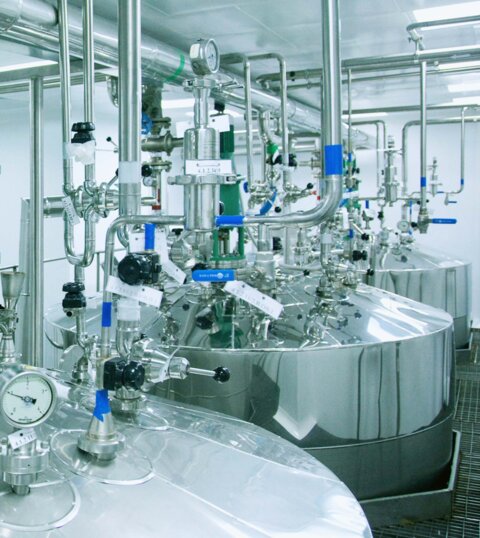 Plant in the chemical industry